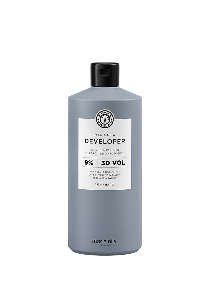 Developer
