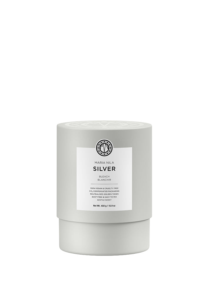 Bleach Silver