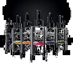 System Pure Pigments