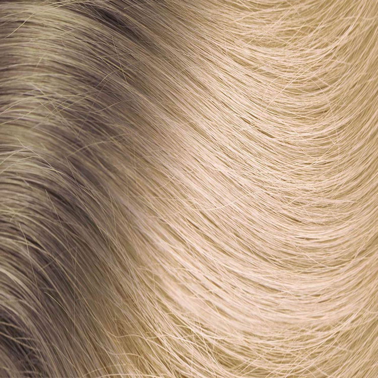 【HOTWAX・チューンナップ済み】HEAD 117㎝　4点セット 22-hw9p-1.jpg