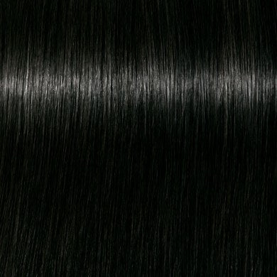 Buy: 6 Igora Royal shades, Get: Developer free