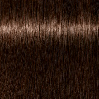 Buy: 6 Igora Absolutes shades, Get: Developer free