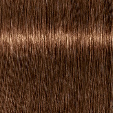 Buy: 6 Igora Absolutes shades, Get: Developer free