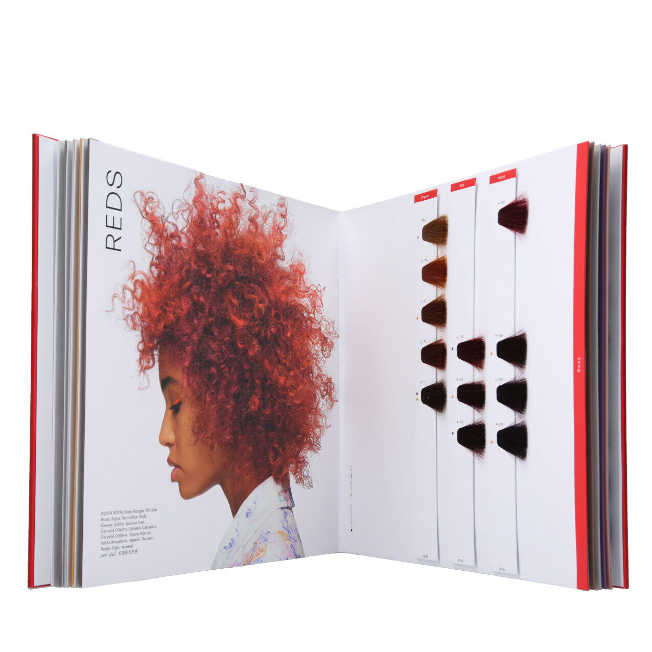 IGORA ROYAL Premium Swatch Book 2023