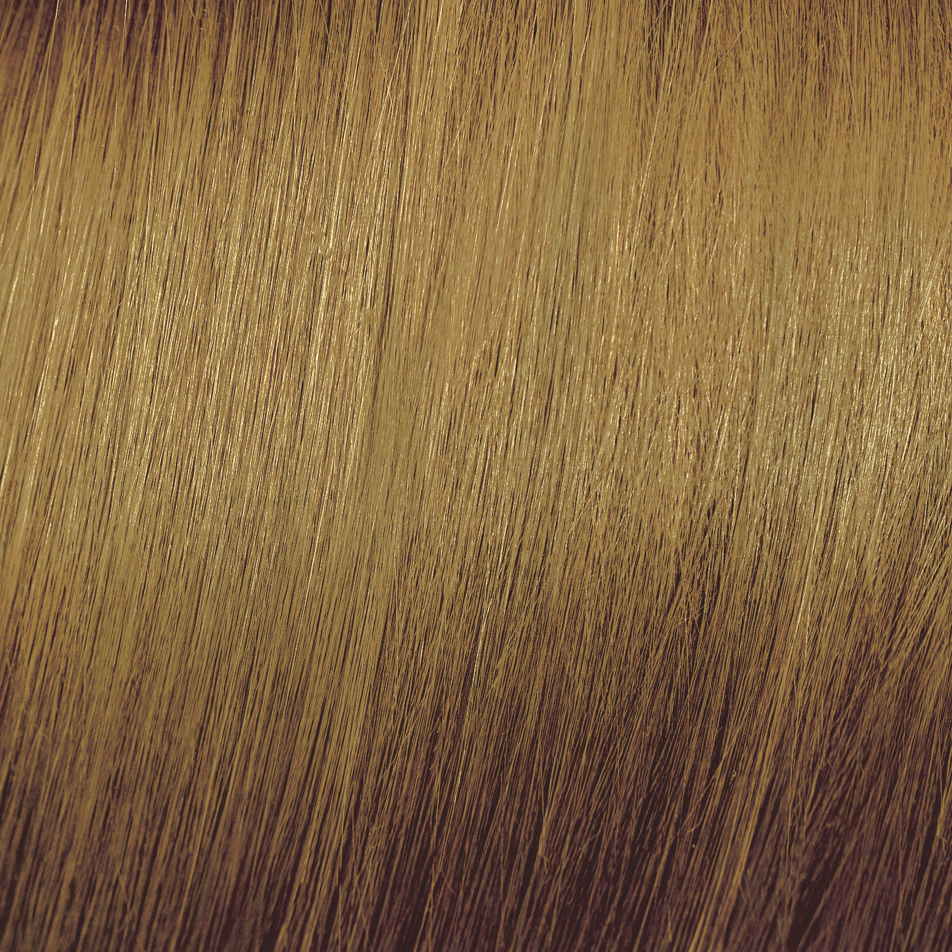 Moda & Styling Colors