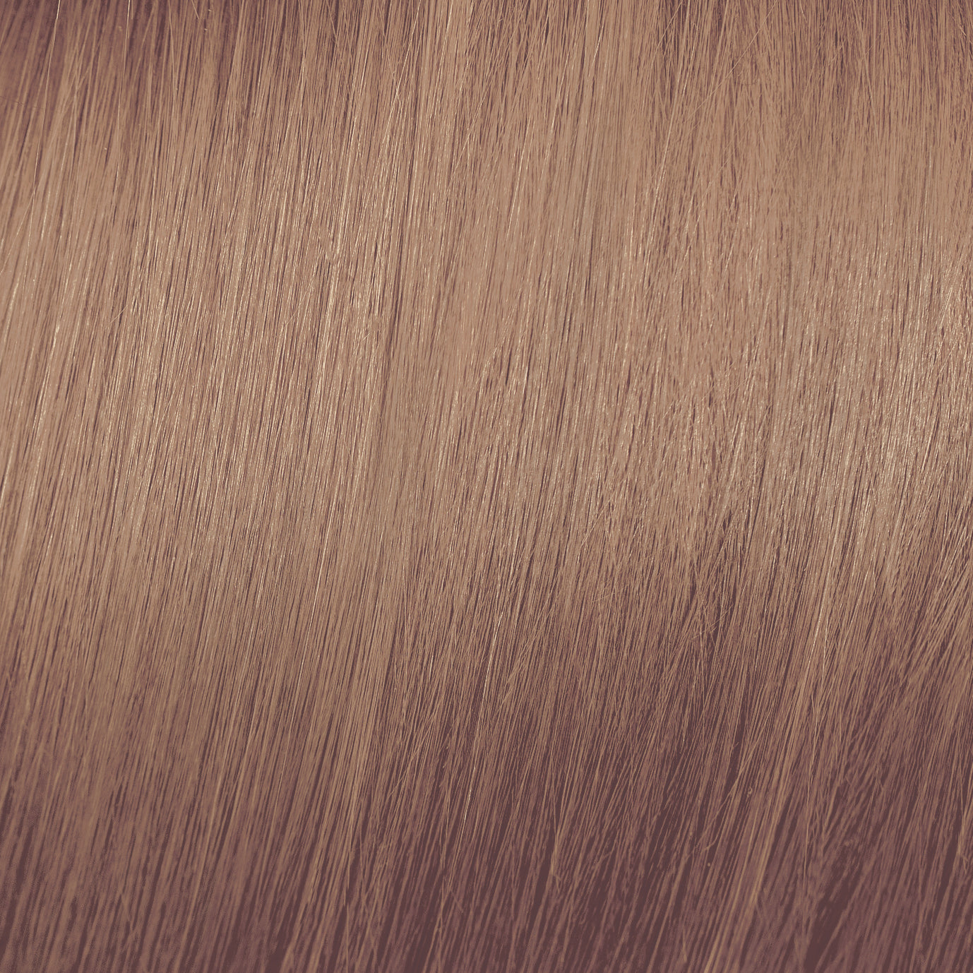 Moda & Styling Colors