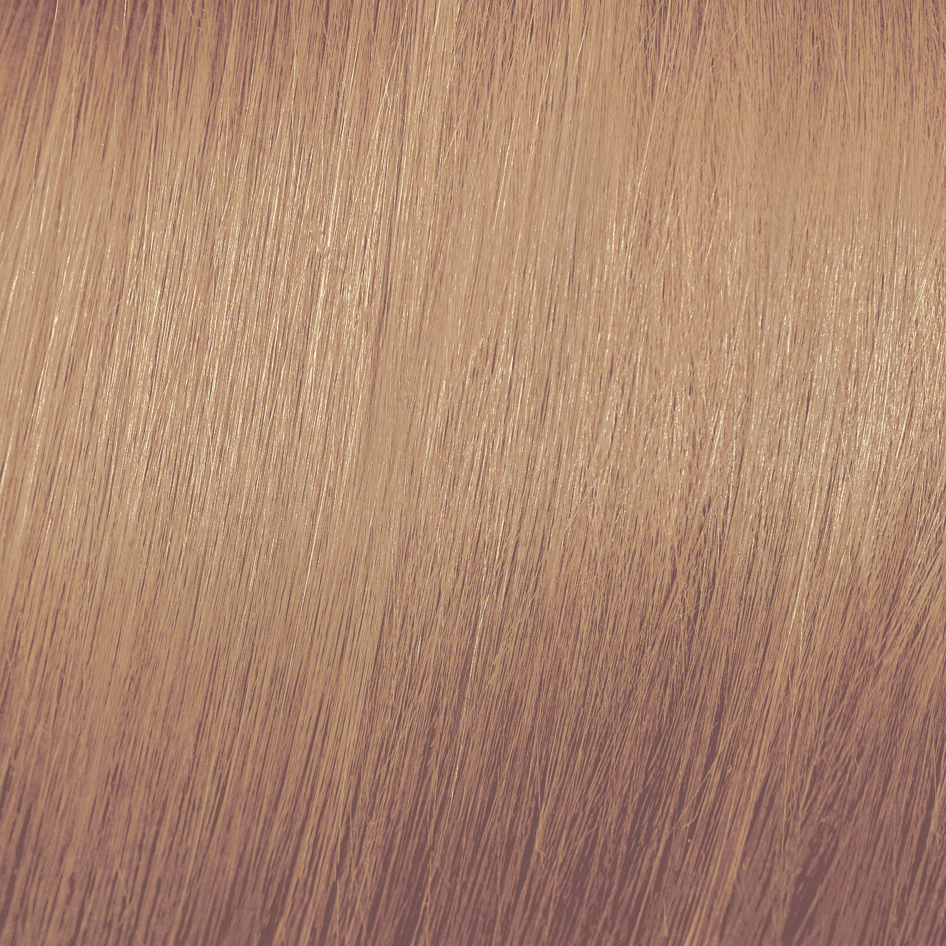 Moda & Styling Colors