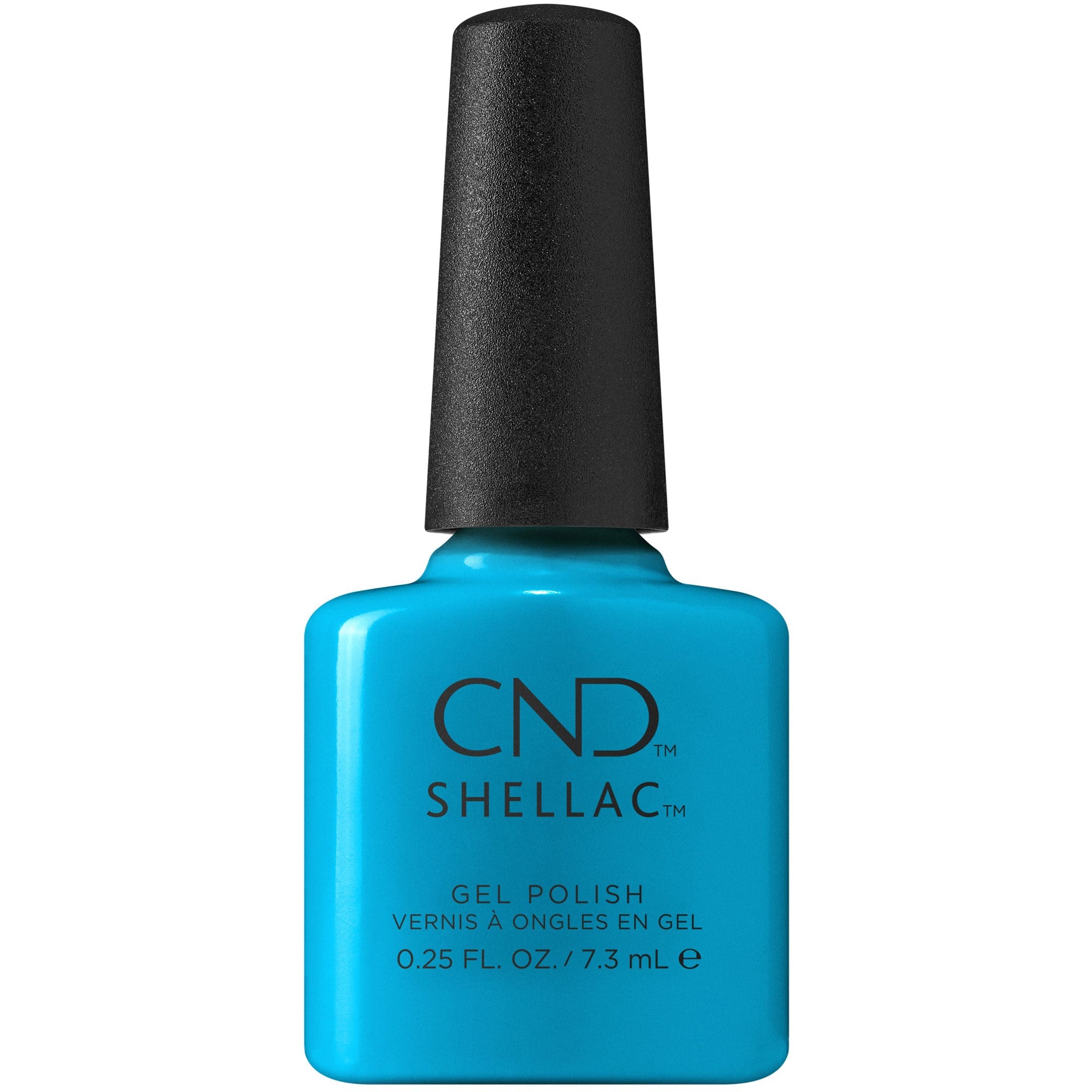 Shellac - Pop-Up Pool Party