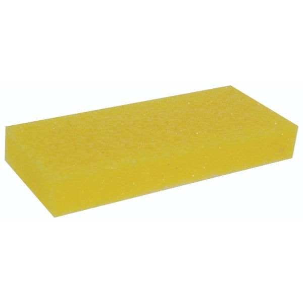 DL Professional Pumice Sponges