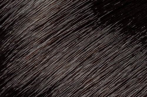 Healing Color Haircolor 3 oz