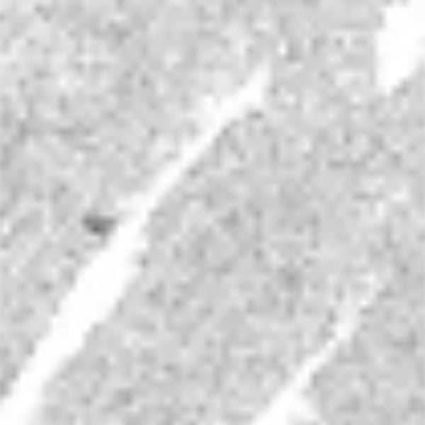 Mirabella Retractable Eye Definer, 0.57 ml