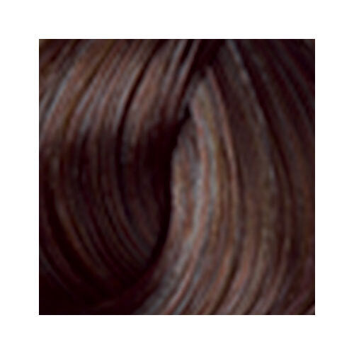 ChromaSilk 6.22 / 6BVbv Dark Intense Beige Blonde