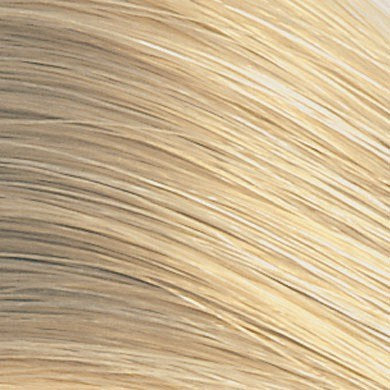 Color Perfect: 10N 10/0 Very Light Blonde