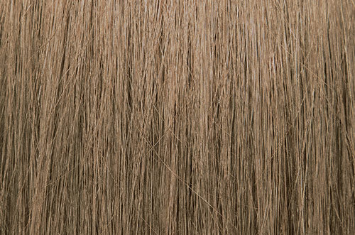 ChromaSilk Hair Color