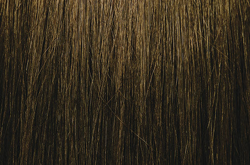 ChromaSilk Hair Color