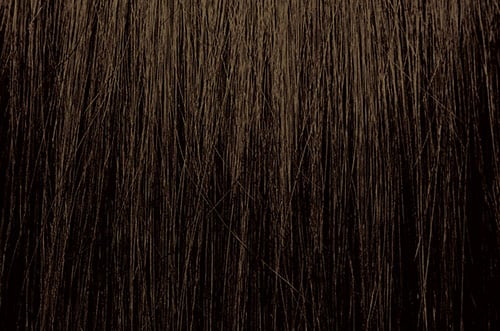 ChromaSilk Hair Color