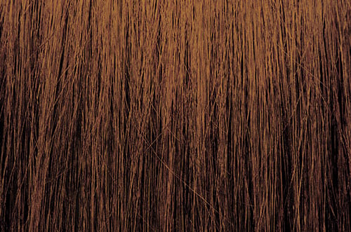 ChromaSilk Hair Color