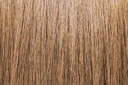 ChromaSilk Hair Color