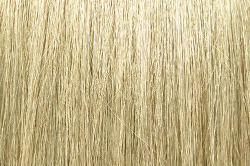 ChromaSilk Hair Color