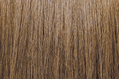 ChromaSilk Hair Color