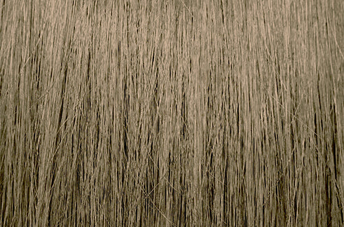 HydraGloss Demi-Permanent Gel Hair Color