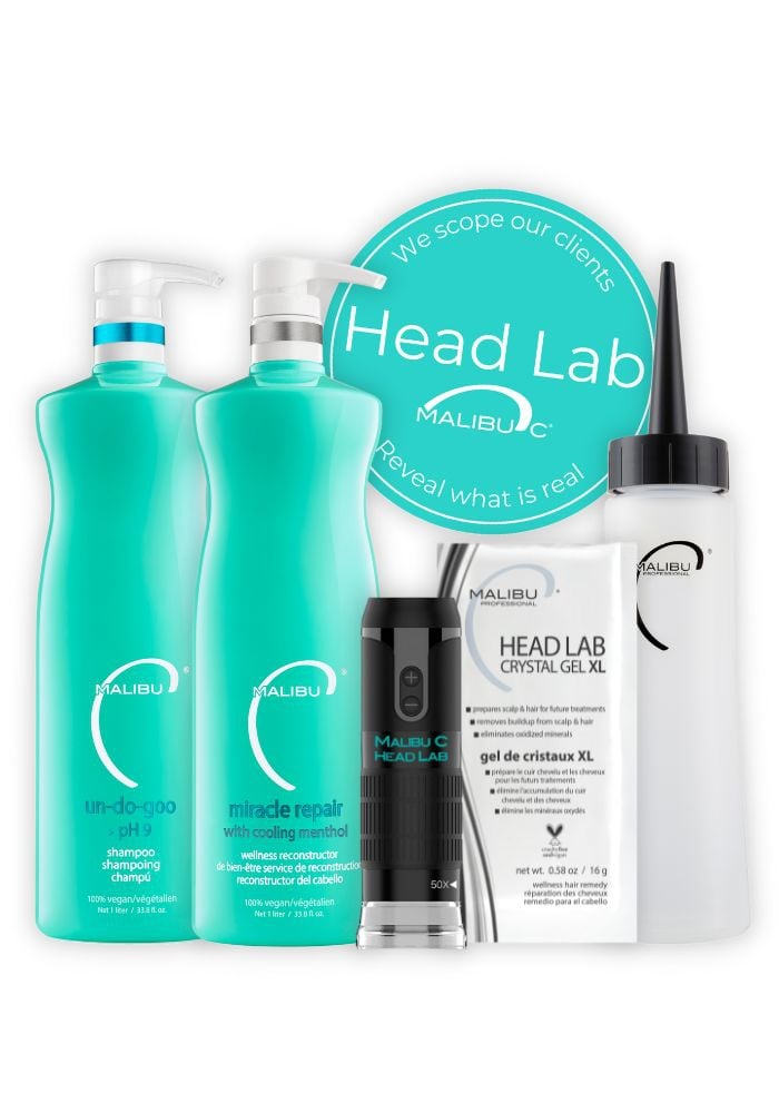 Head Lab Intro