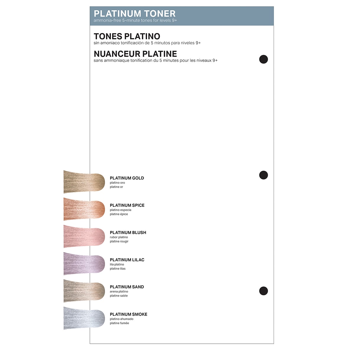 PRAVANA Platinum Toner Swatch Insert Full Collection 2024