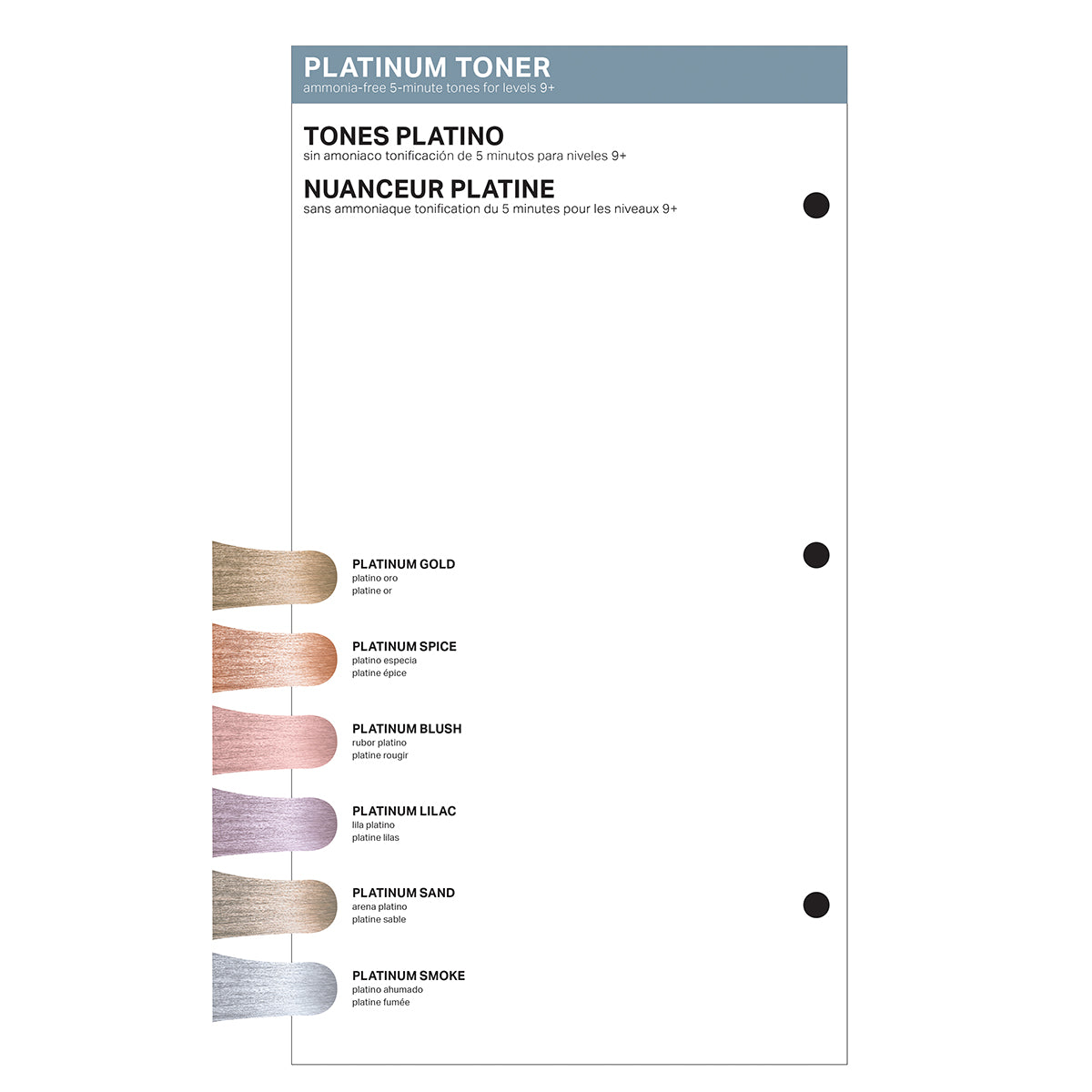 PRAVANA Swatchbook Insert ChromaSilk Platinum Toners