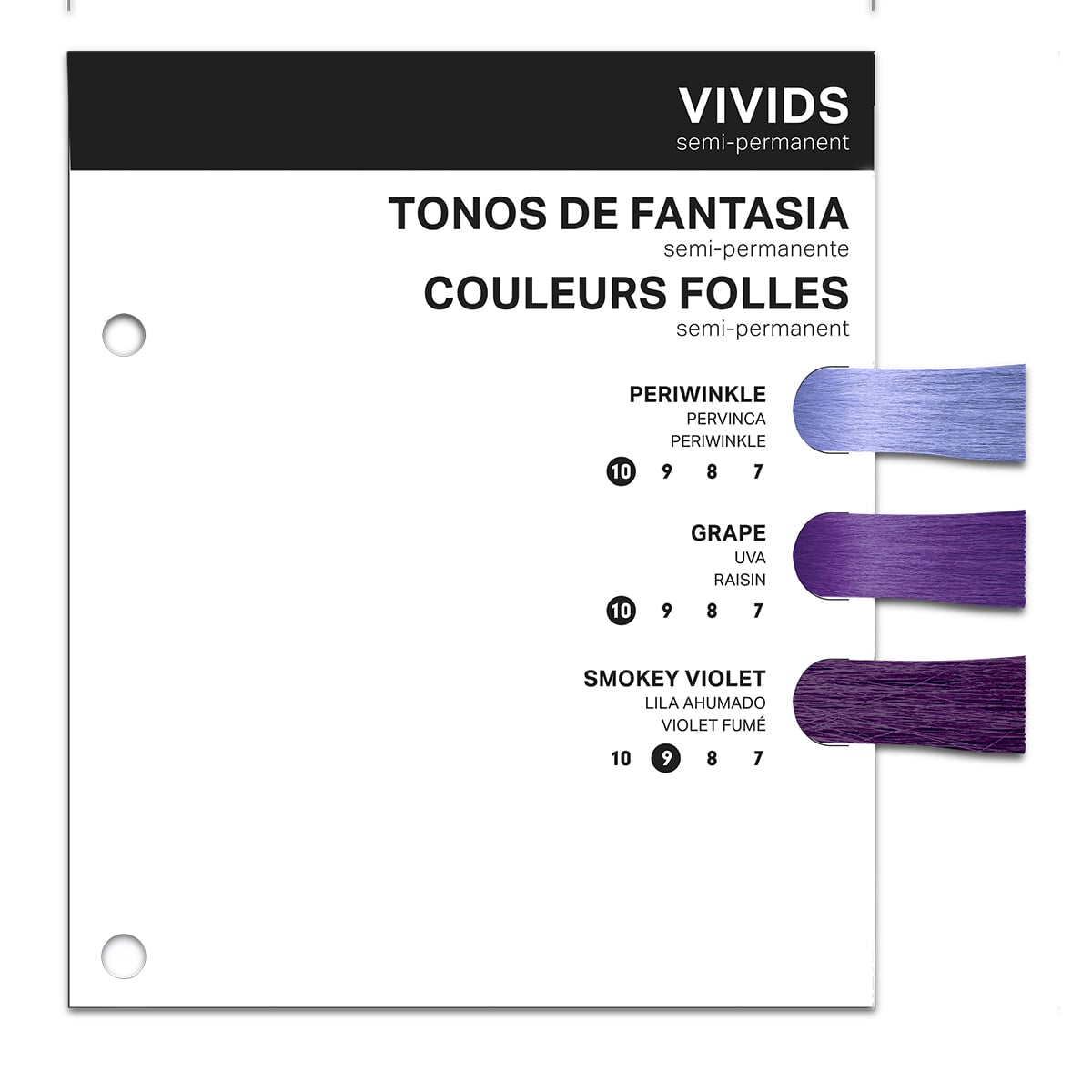 PRAVANA Swatchbook Insert ChromaSilk Purple