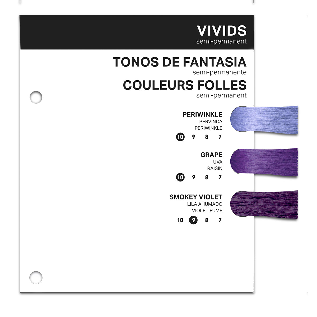 PRAVANA Swatchbook Insert ChromaSilk Purple