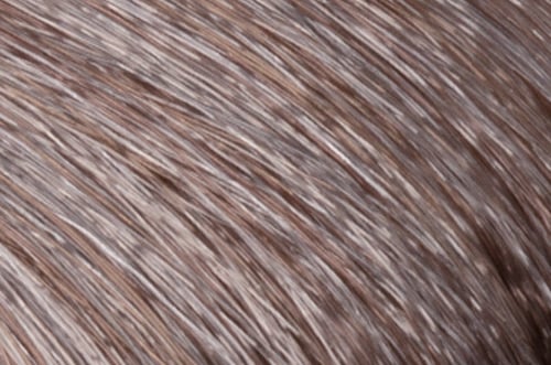 Faction8 Permanent Haircolor 2 oz