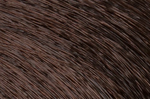 Faction8 Permanent Haircolor 2 oz