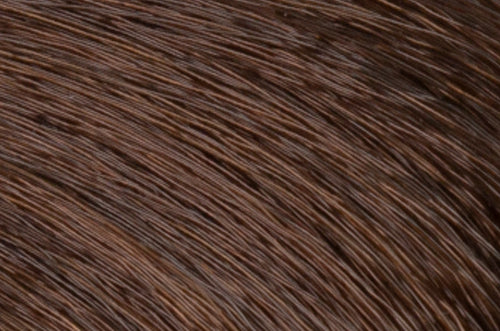 Faction8 Permanent Haircolor 2 oz