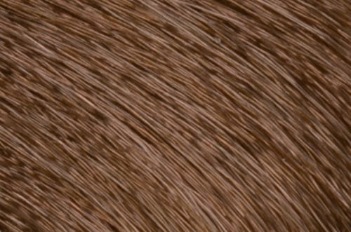 Faction8 Permanent Haircolor 2 oz