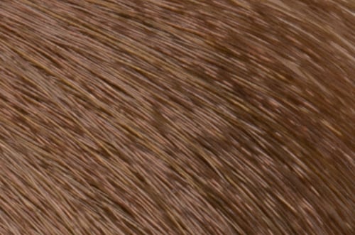 Faction8 Permanent Haircolor 2 oz