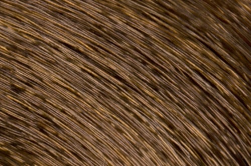 Faction8 Permanent Haircolor 2 oz