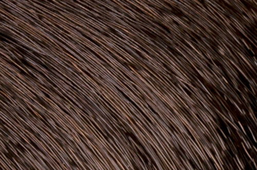 Faction8 Permanent Haircolor 2 oz