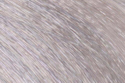 Faction8 Permanent Haircolor 2 oz