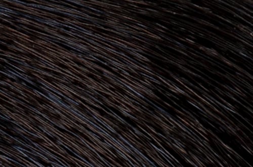 Faction8 Permanent Haircolor 2 oz
