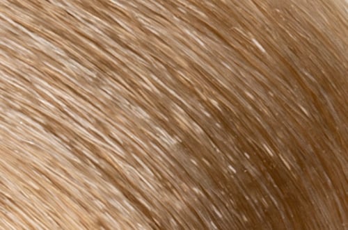Faction8 Permanent Haircolor 2 oz