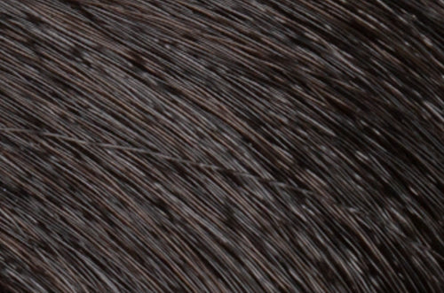 Faction8 Permanent Haircolor 2 oz