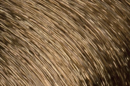 Faction8 Permanent Haircolor 2 oz