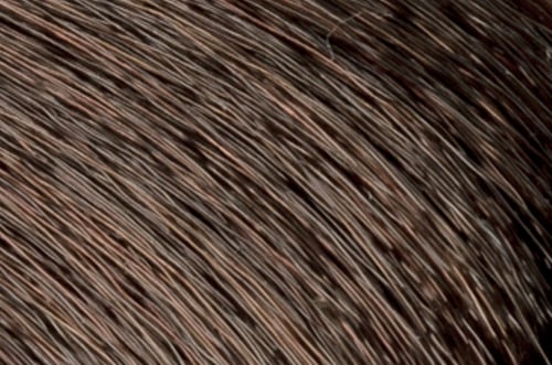 Faction8 Permanent Haircolor 2 oz