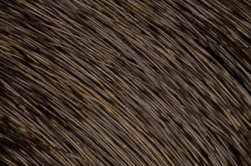Faction8 Permanent Haircolor 2 oz