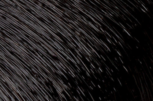 Faction8 Permanent Haircolor 2 oz