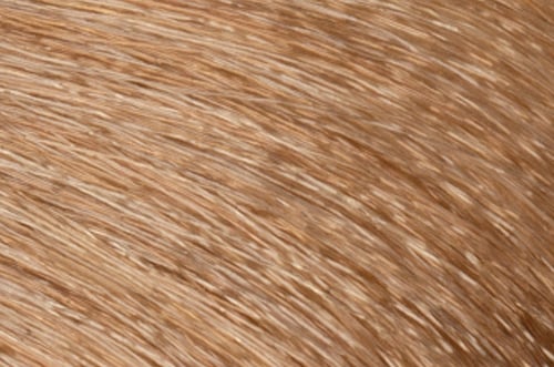 Faction8 Permanent Haircolor 2 oz