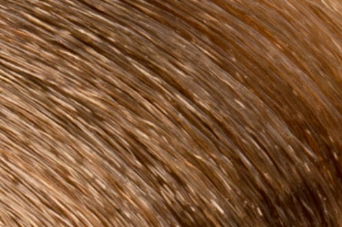 Faction8 Permanent Haircolor 2 oz