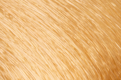 Faction8 Permanent Haircolor 2 oz