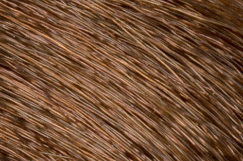 Faction8 Permanent Haircolor 2 oz