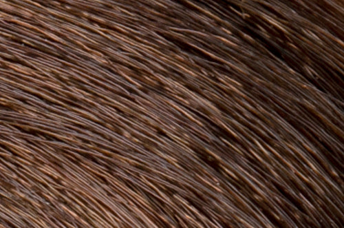 Faction8 Permanent Haircolor 2 oz
